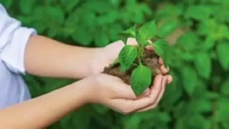 Kiválthatók-e a műtrágyák? – Szakemberek beszéltek az alternatív tápanyag-gazdálkodási lehetőségekről