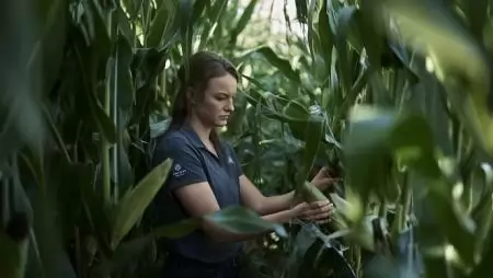 A Corteva Agriscience új növénykondícionáló természetes eredetű levéltrágyát mutat be Európában