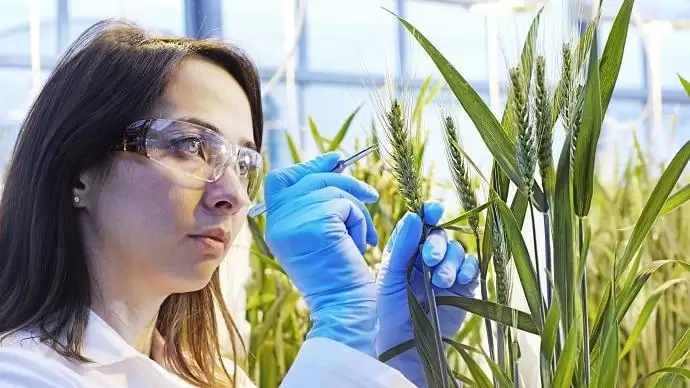 Fejlesztéssel nyitunk ajtót a jövőbe