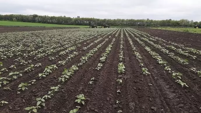 Pályázatok, amelyekről nem szabad lemaradni