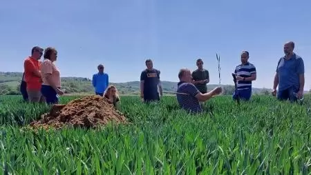 NÖVÉNYSZEMLÉK - elkezdődtek a májusi továbbképzések