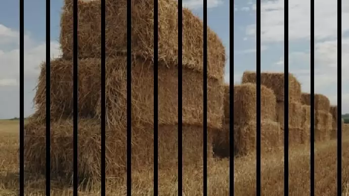 VEGYE ŐRIZETBE VÉGRE a szalmájával a vizet a talajában!