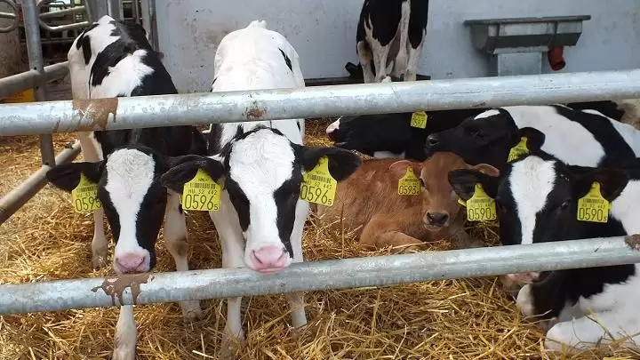 Isten útja a szántóföldre vezetett