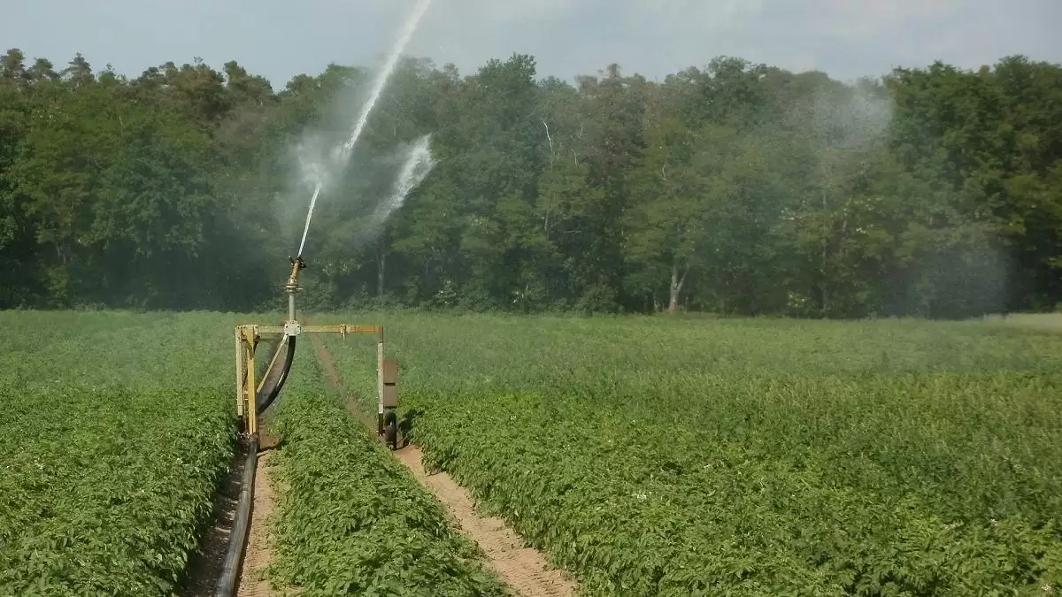 Meghosszabbították az öntözésfejlesztési pályázati felhívásokat