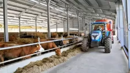 A legmodernebb állattartási technológiával