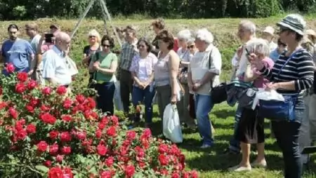 Nem csak génbank – Hazánk legnagyobb rozáriuma Budatétényen