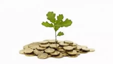 Czerván György: megemelt összegű nemzeti támogatást tervez idénre az agrártárca 