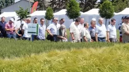 Syngenta Szershow – Fajta- és növényvédelmi bemutató