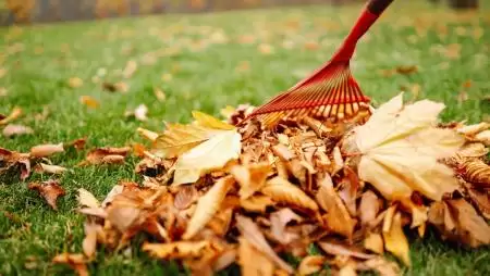 A szerszám forog, a természet pihen