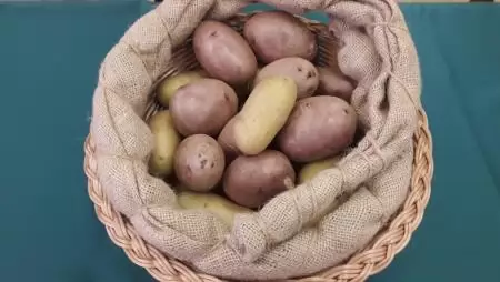 Nem lesz mindenhol hatósági áras a burgonya és a tojás