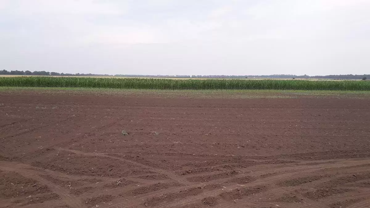 Változnak egyes földügyi törvények