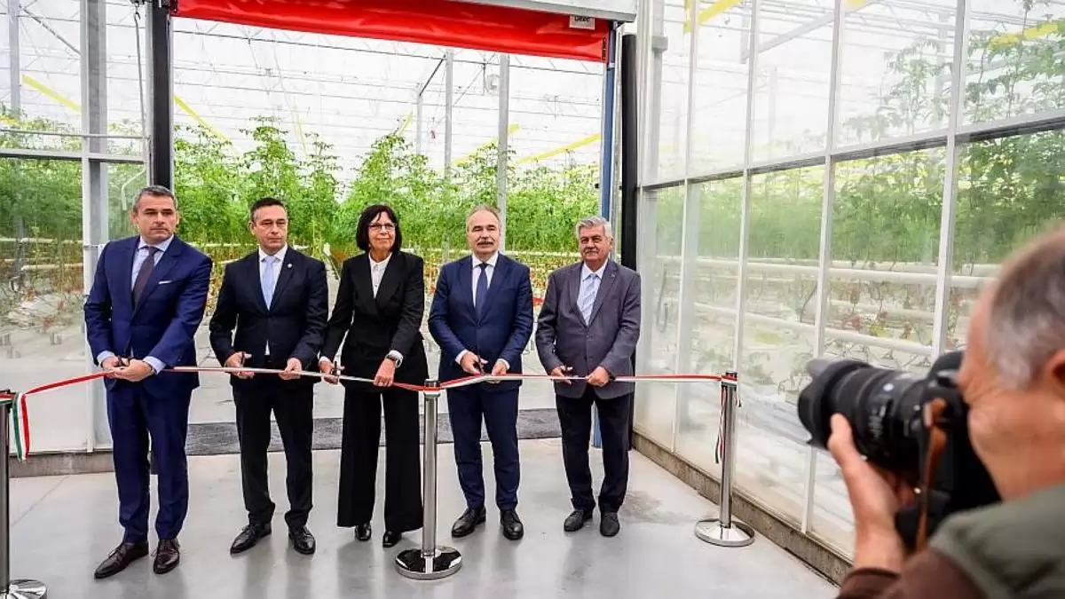 A hajtatásos kertészeté a jövő