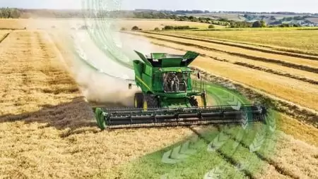 Már az aratás közben kiderül, hogy a búza kenyérnek, vagy takarmányozásra való