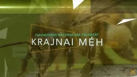 Tudásátadás a közösségi médiafelületeken