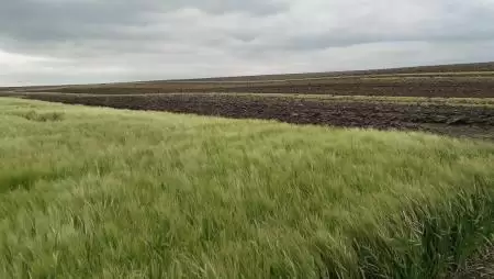 Online elérhető Magyarország elfogadott Közös Agrárpolitika Stratégia Terve