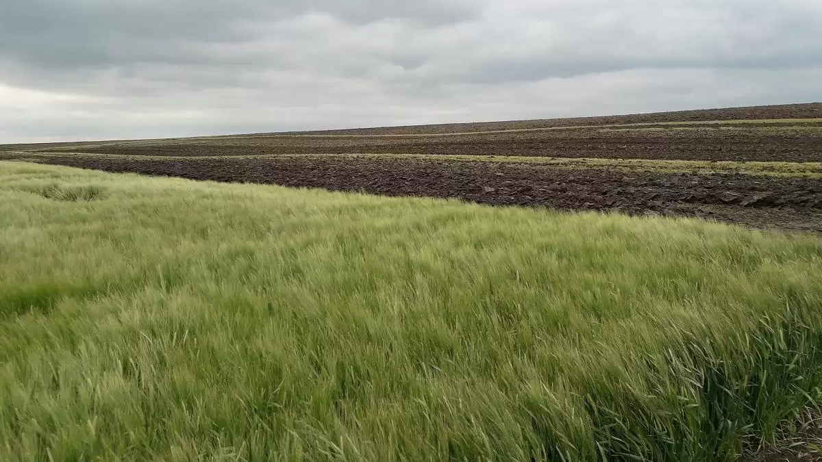 Online elérhető Magyarország elfogadott Közös Agrárpolitika Stratégia Terve