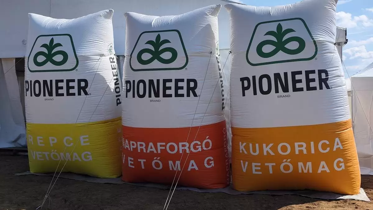 A Corteva növénynemesítői a jövő igényeit és megoldásait kutatják