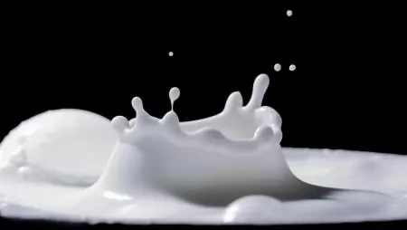 Innovatív tejtermékek fejlesztésében vesz részt a MÉK