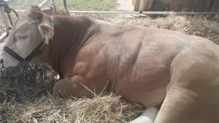 Már lehet készülni az új támogatások igénylésére