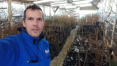 Brutális szélvihar és komoly fagyok jönnek, takarni kell az érzékeny növényeket!