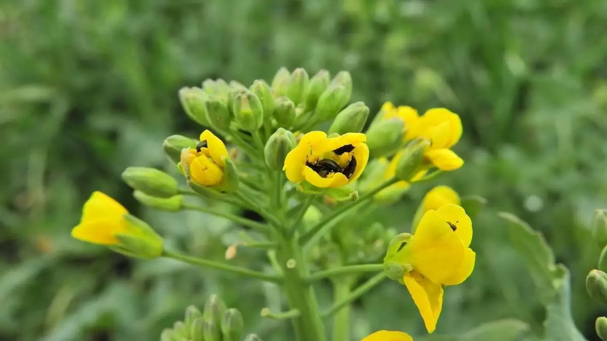 Hová tűnt az arányérzék?!