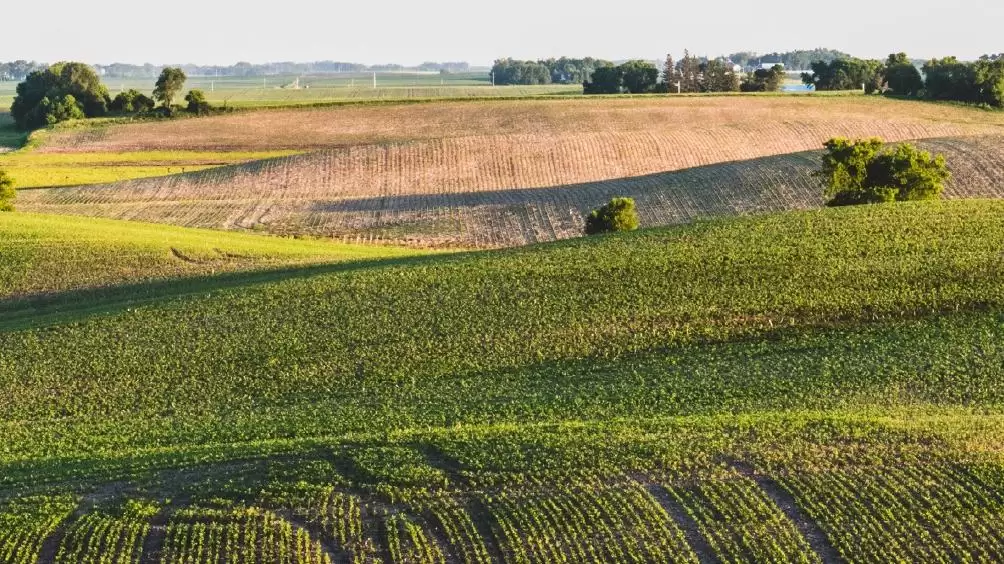 Tátongó űrt tölt be a gazdaságátadási szerződés