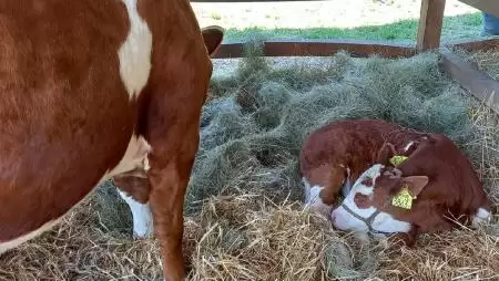 Mindent meg találsz egy helyen ezekről a támogatásokról!