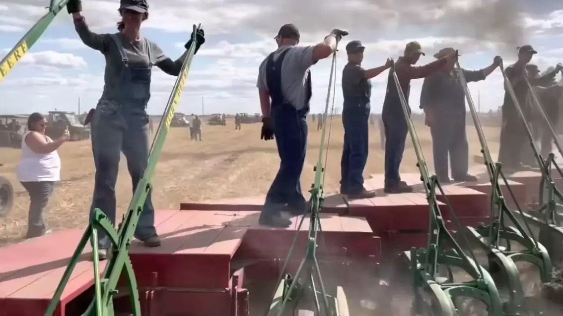 Döbbenetes: szántás 50 fejes ekével és egy ősöreg traktorral – elképesztő rekordkísérlet