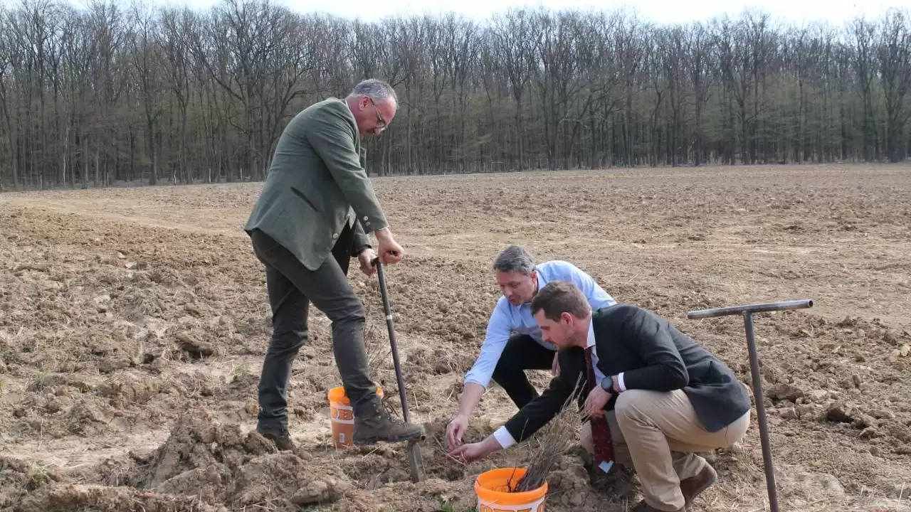 Nem kell attól rettegni, hogy kivágják az összes erdőt 