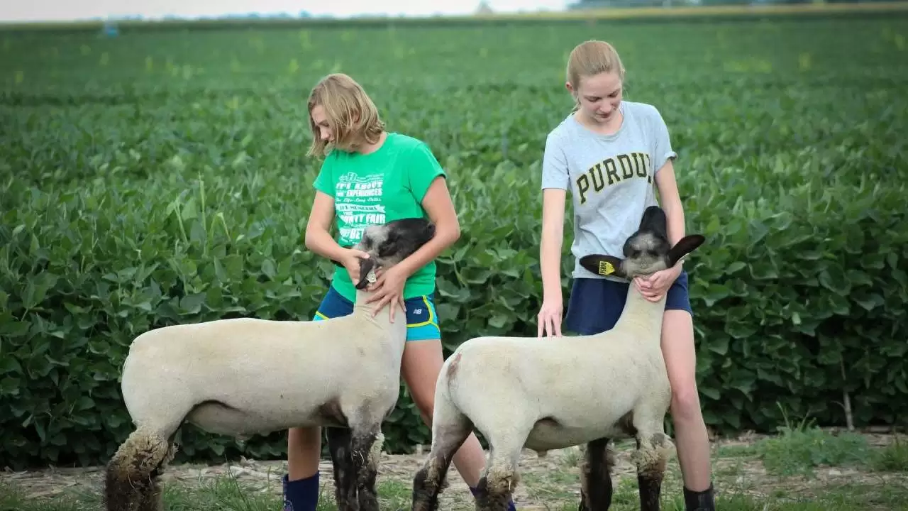 Fiatal gazdák többlettámogatása – itt vannak a részletszabályok!
