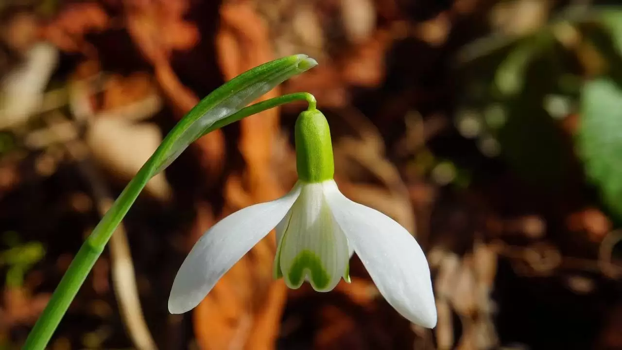 Időjárás: már látjuk, mikor érkezik az igazi meleg, de addig még akad rossz hírünk is