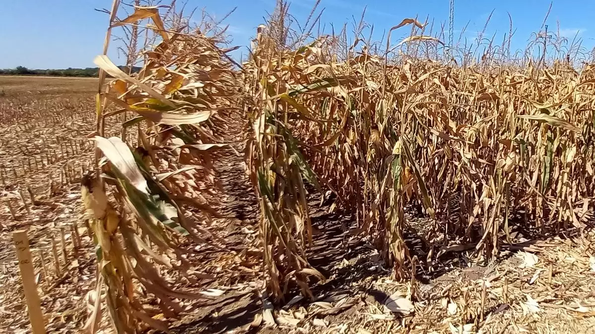 Négyszeresére növelte a kormány a kárenyhítési alap forrásait