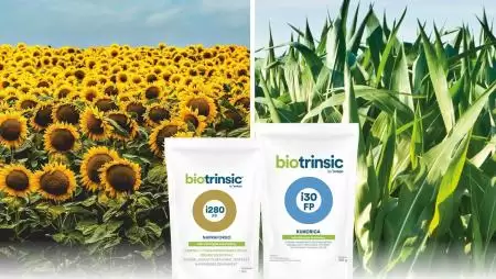 Mikroorganizmusokkal egy fenntarthatóbb jövőért,  avagy a KITE Zrt. mikrobiológiai portfóliója