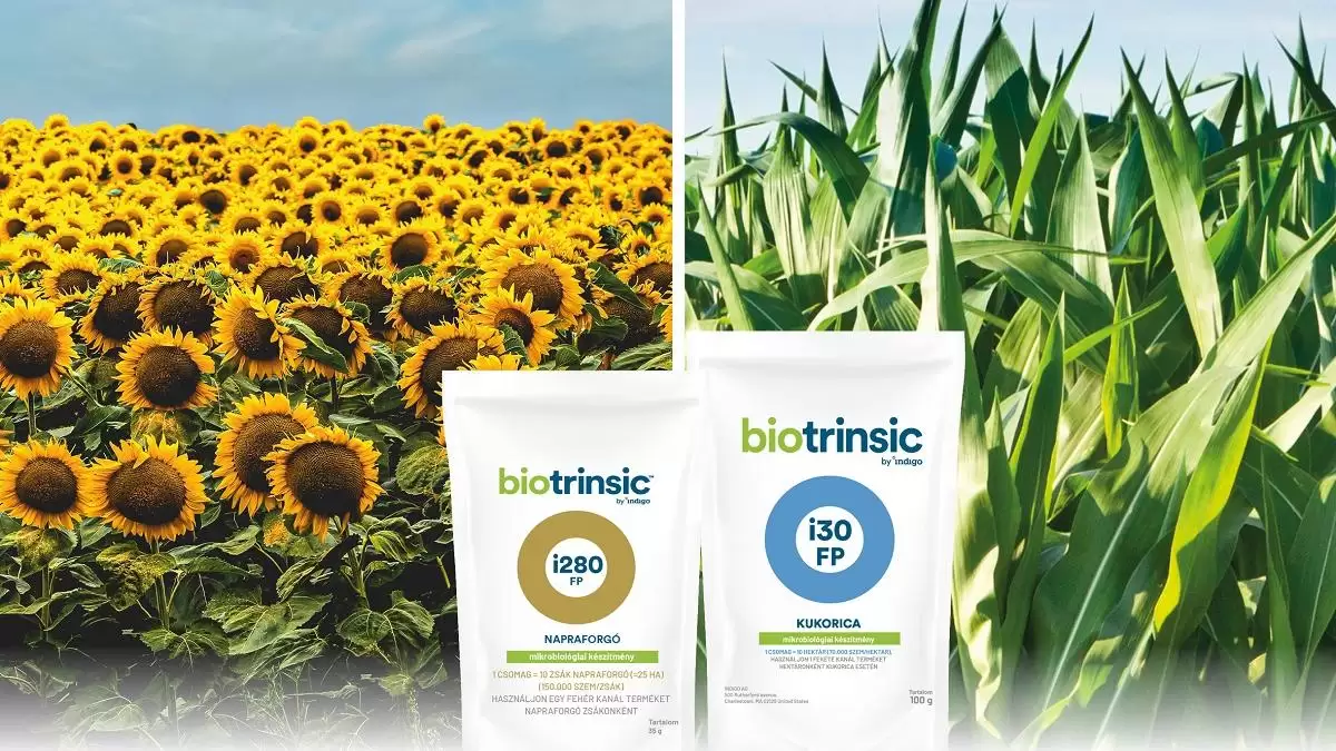 Mikroorganizmusokkal egy fenntarthatóbb jövőért,  avagy a KITE Zrt. mikrobiológiai portfóliója