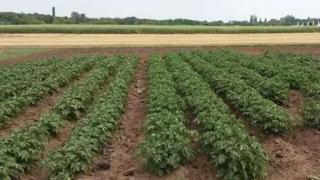 Itt a zöld kiajánlás! De mi is az?