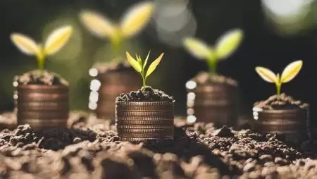 A zöld finanszírozás szerepe