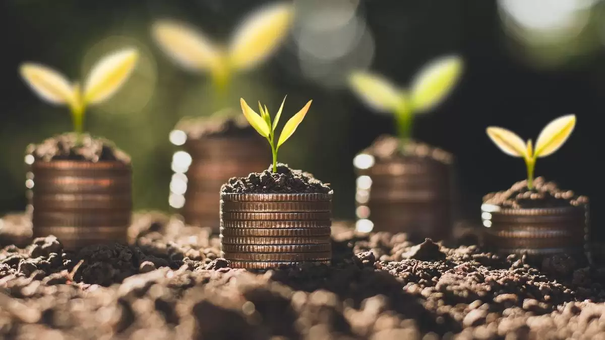 A zöld finanszírozás szerepe