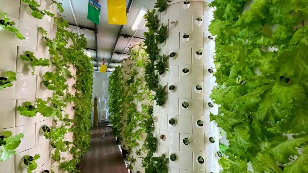 Magyar vállalkozópáros startupja Debrecenben