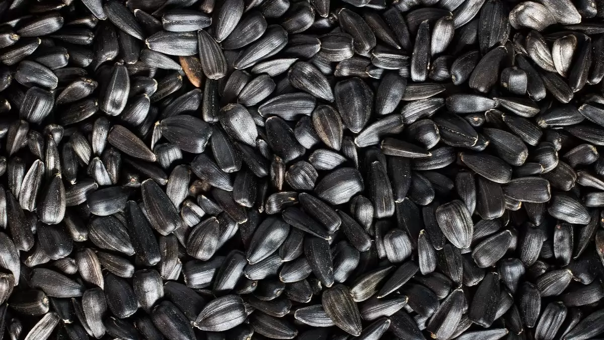 Hazánk megtiltotta 25 mezőgazdasági termékkör importját Ukrajnából 