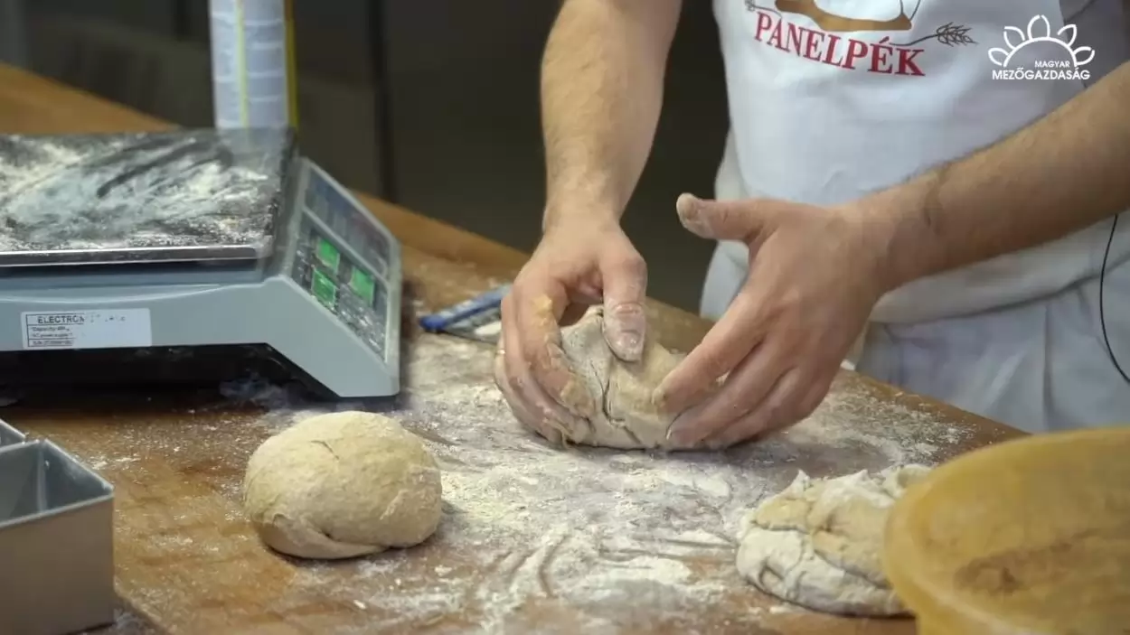 Egészséges, jó ízű, mégis alig ismerik idehaza: a tönke