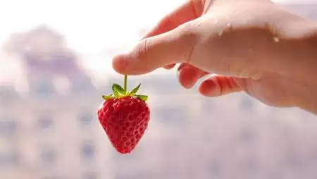 Szedd magad és vedd magad földieper lelőhelyek 2023-ban