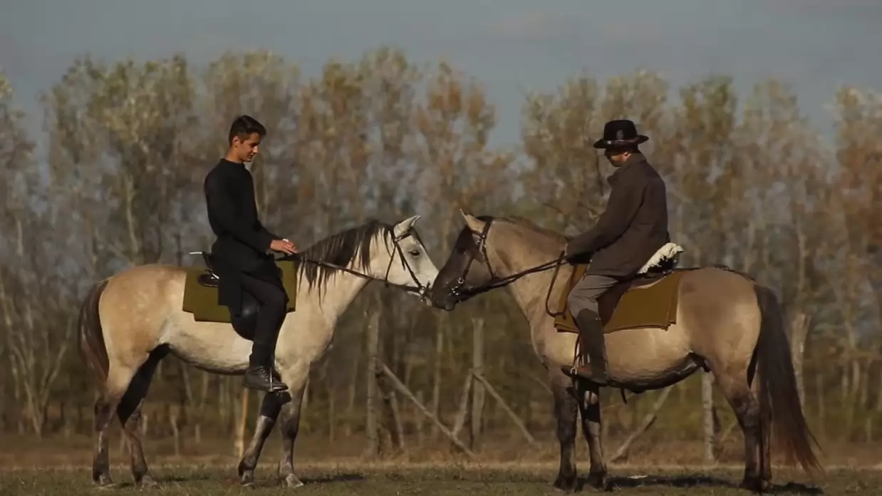 Így kelt életre honfoglaló őseink lova, a kunfakó