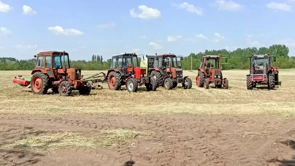 Csupa MTZ traktorból álló flotta végzi a bálázást az egyik magyar gazdánál
