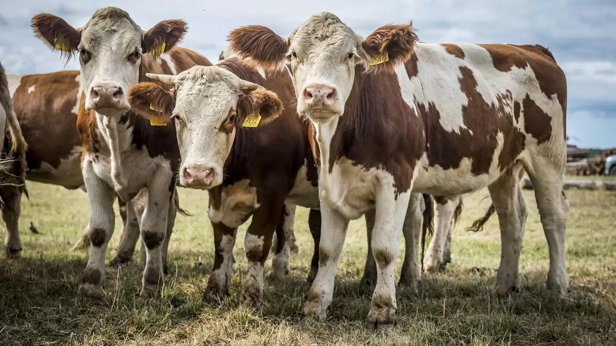 Megváltoztak a gazdálkodási napló vezetésének szabályai a Vidékfejlesztési Program támogatásai esetében