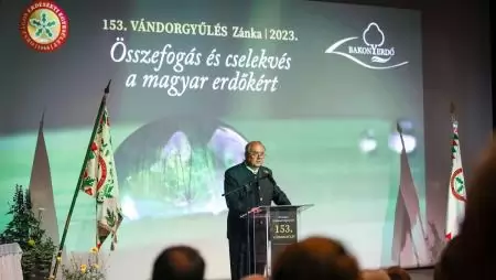 A magyar erdők az ország stratégiai erőforrását és természeti értékét jelentik