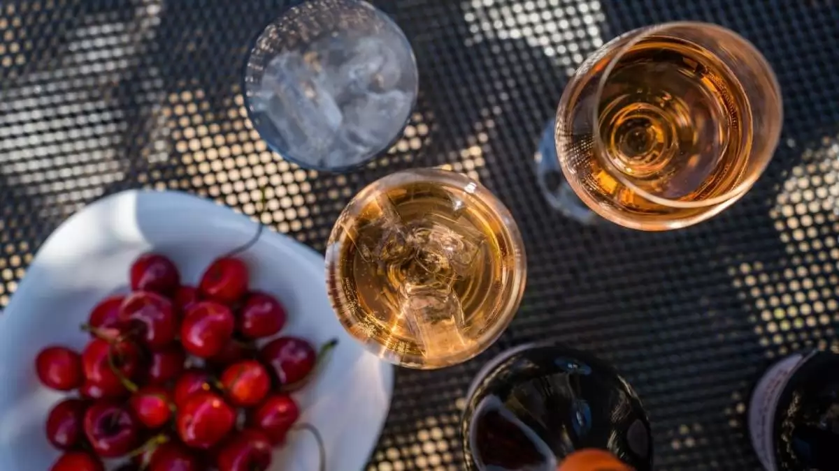 22 borvidék, 918 tétel, 252 pincészet – itt az Országos Borverseny eredménye