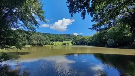 Természeti csodákat rejt a Soproni-hegyvidék és a Fertő-tó