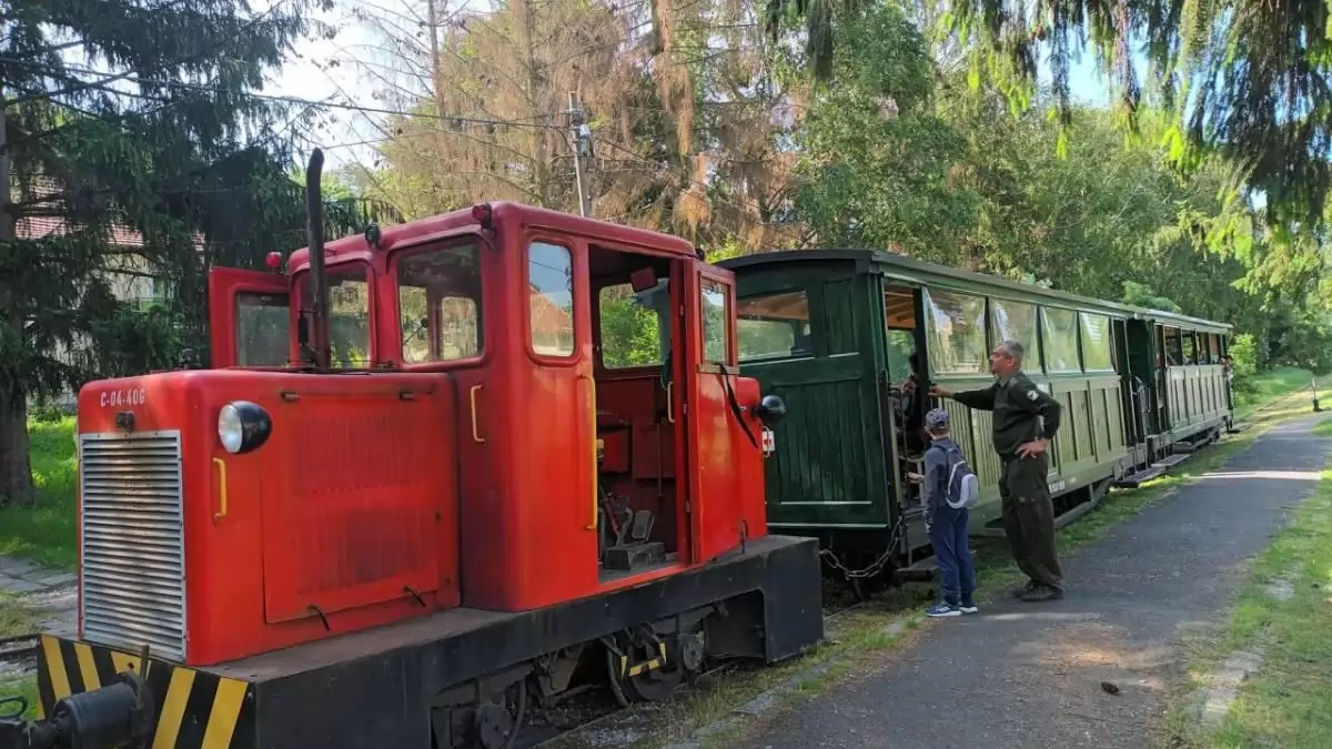 Zakatol ismét az erdei kisvasút