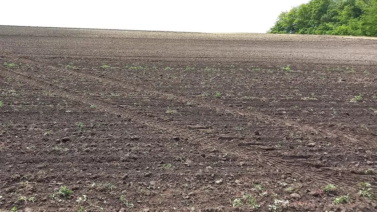 A generációváltást és a helyi gazdálkodást segíti az új földügyi szabályozás