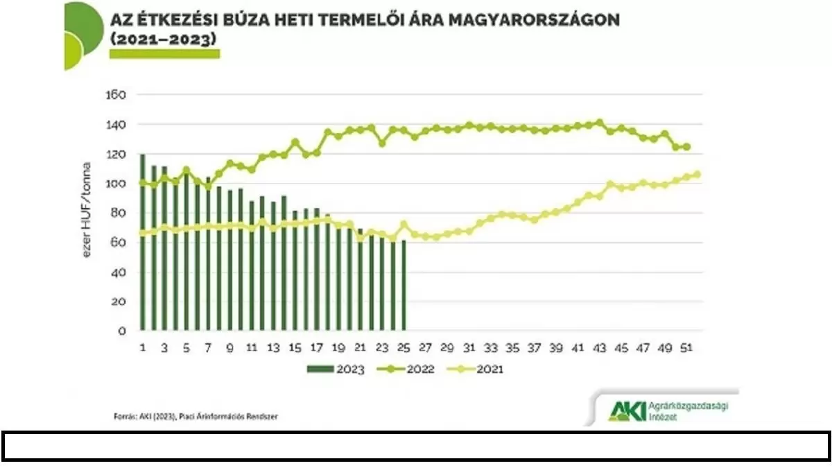 BÚZATERMÉS: VÁRHATÓAN NAGYOBB, MINT A TAVALYI – ZUHANT A TERMELŐI ÁR